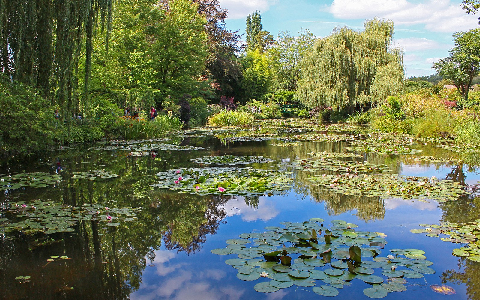 Estanque de nenúfares de Giverny con exuberante vegetación, parte de los Jardines de Monet en un tour de medio día desde París.