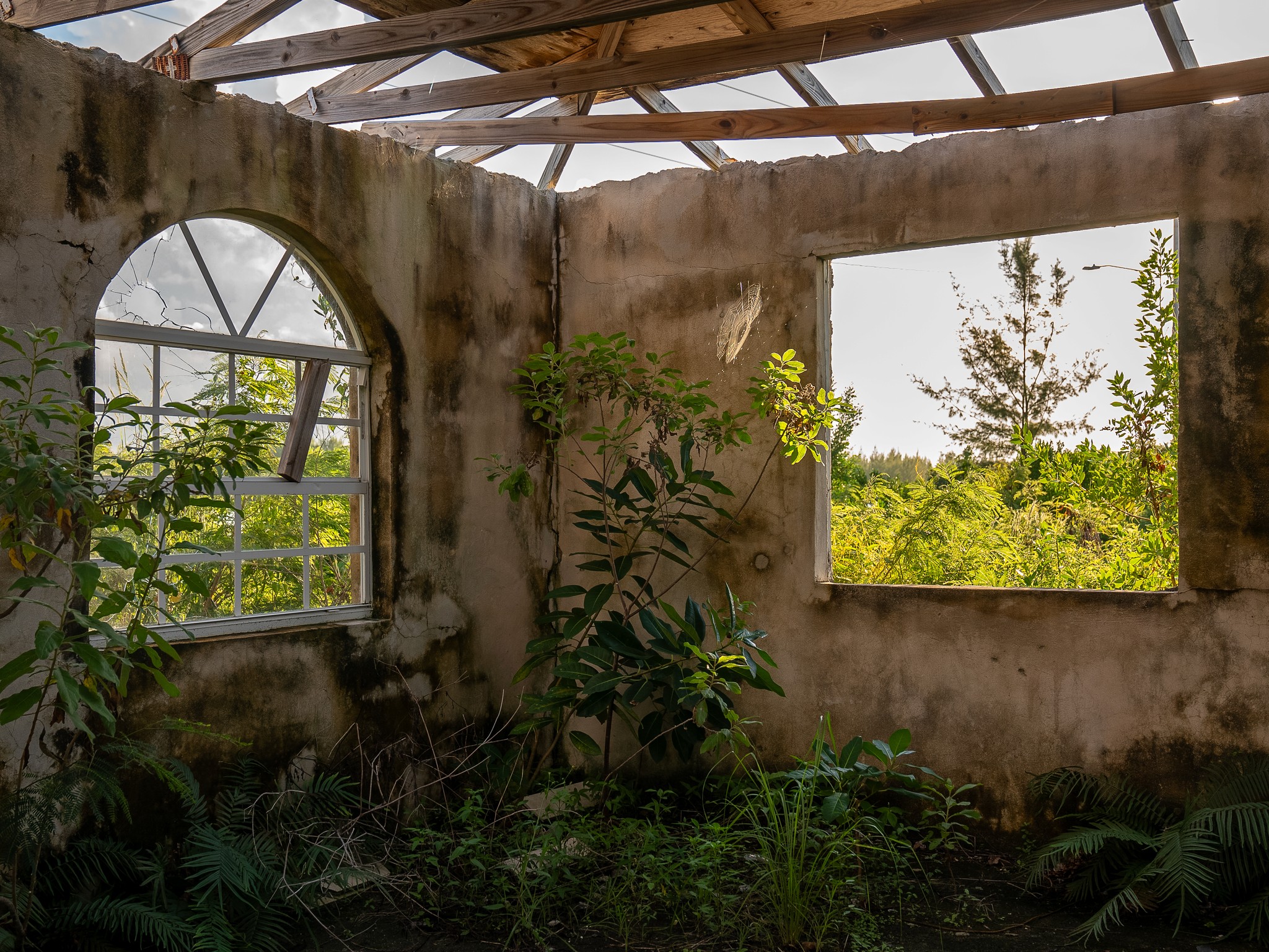 An abandoned building with no roof, featuring overgrown plants inside. Two large wall openings: a round-topped window on the left and a rectangular one on the right, revealing a green, lush landscape outside.