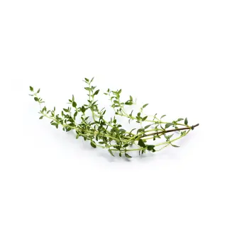 Thyme