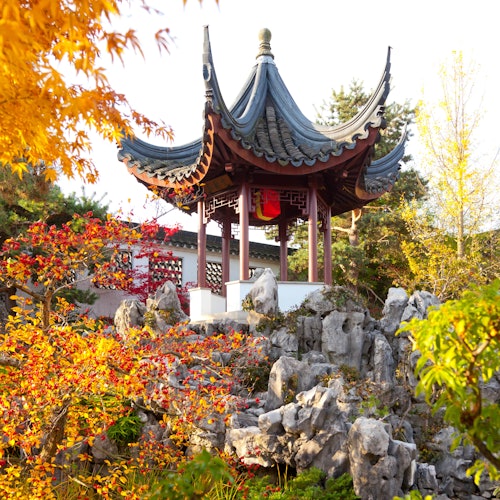 Una pagoda tradizionale con tetto curvo è circondata da foglie autunnali e rocce in un ambiente di giardino tranquillo.