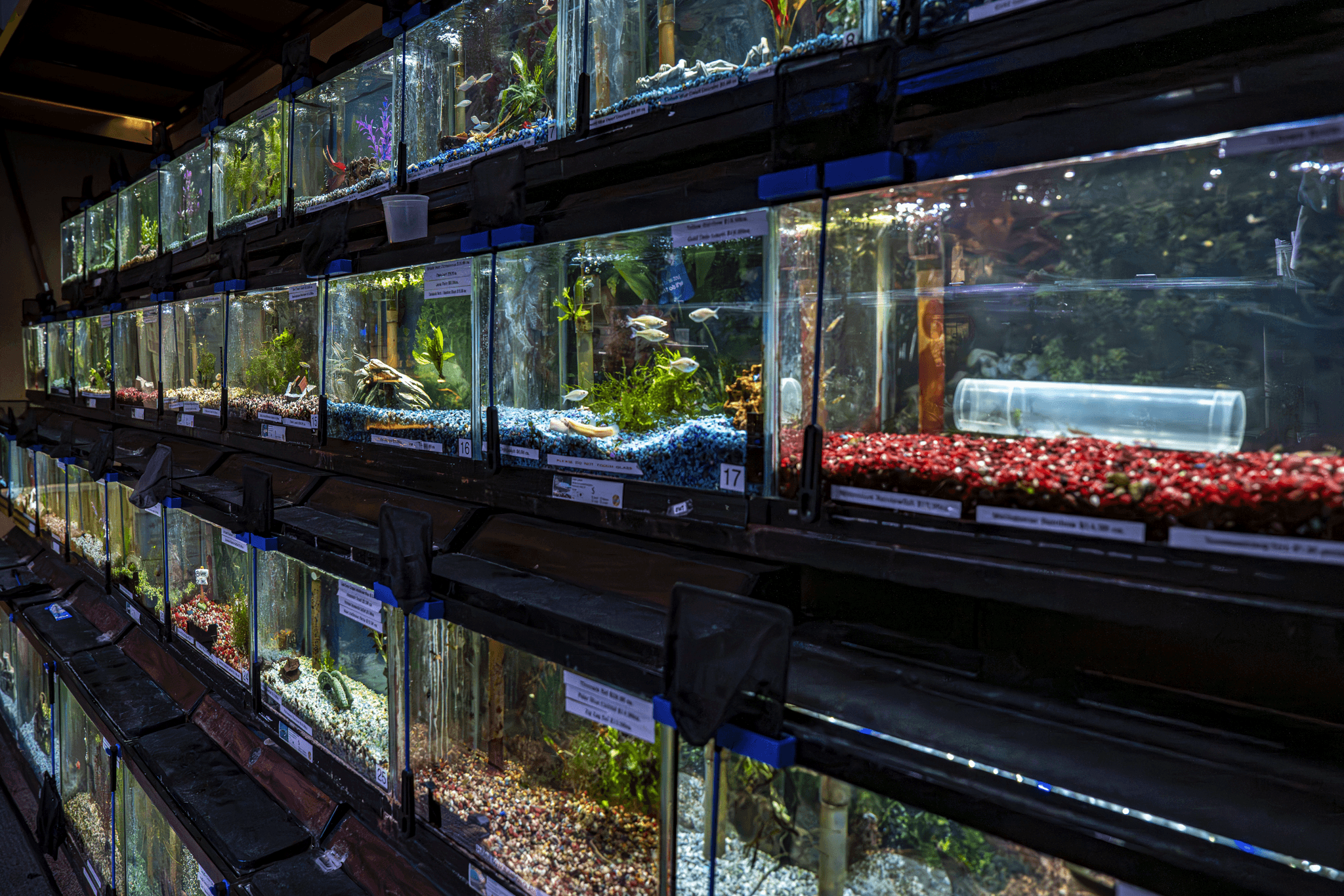 Freshwater Tanks