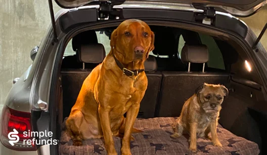 Pets Image