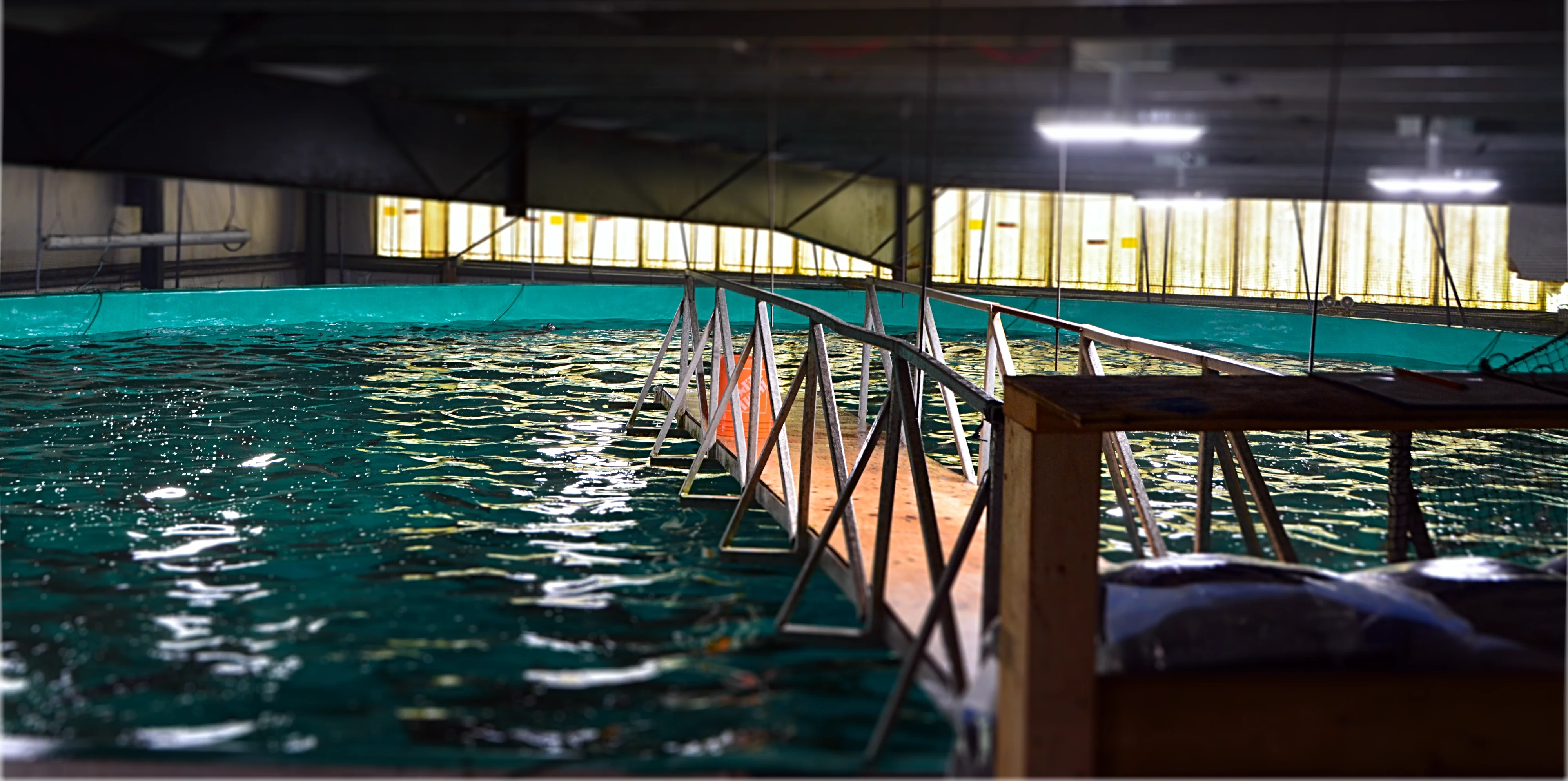 man wearing black hoodie using welding tool