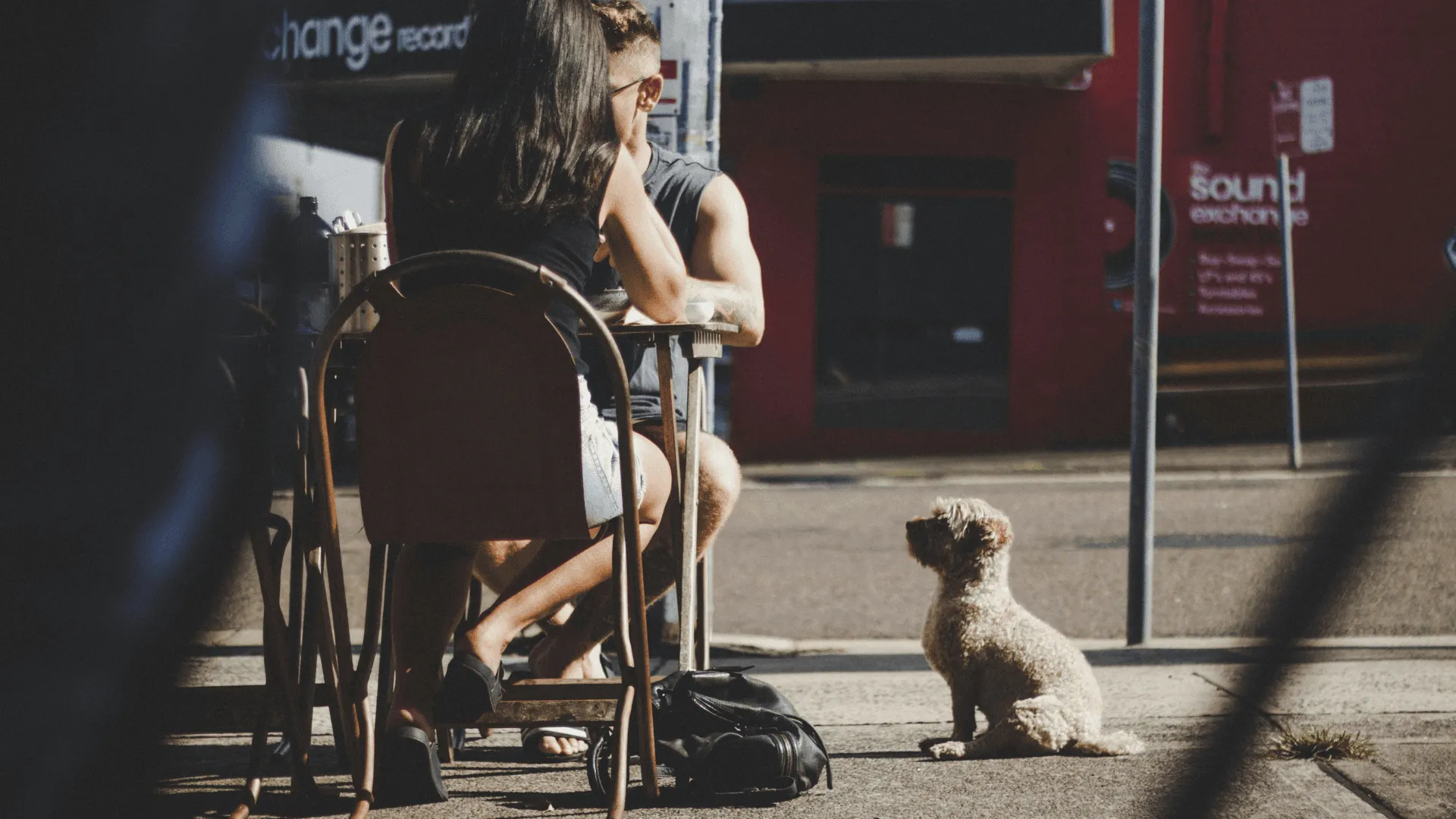 A dog sits patiently, looking up at its owners sitting at an outside table
