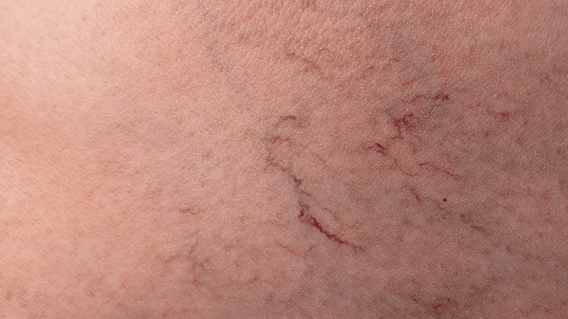 brown leaf in close up photography