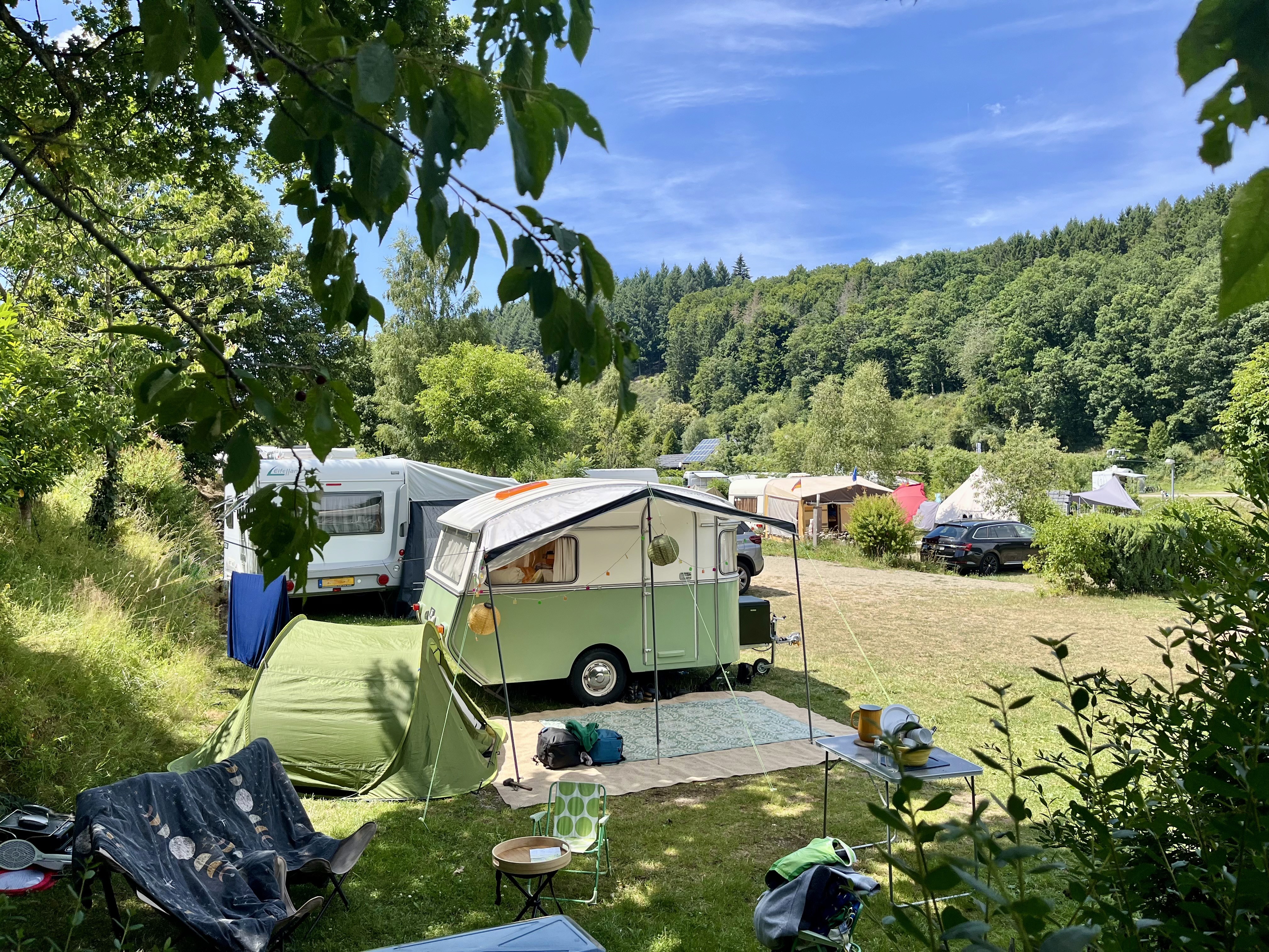 green and white vintage camper on the campsite