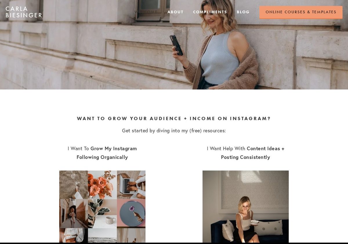 Carla Biesinger website
