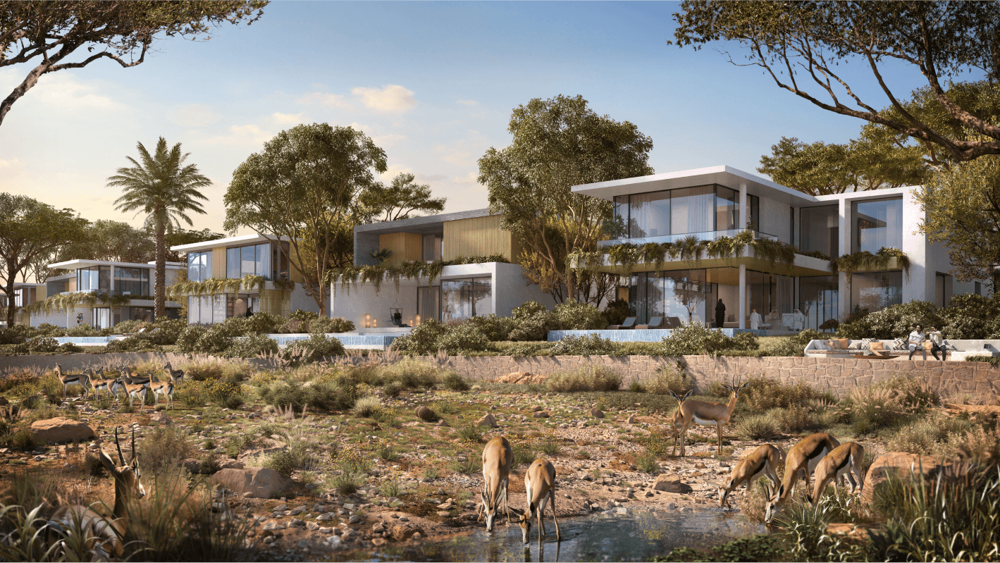 expo city developer