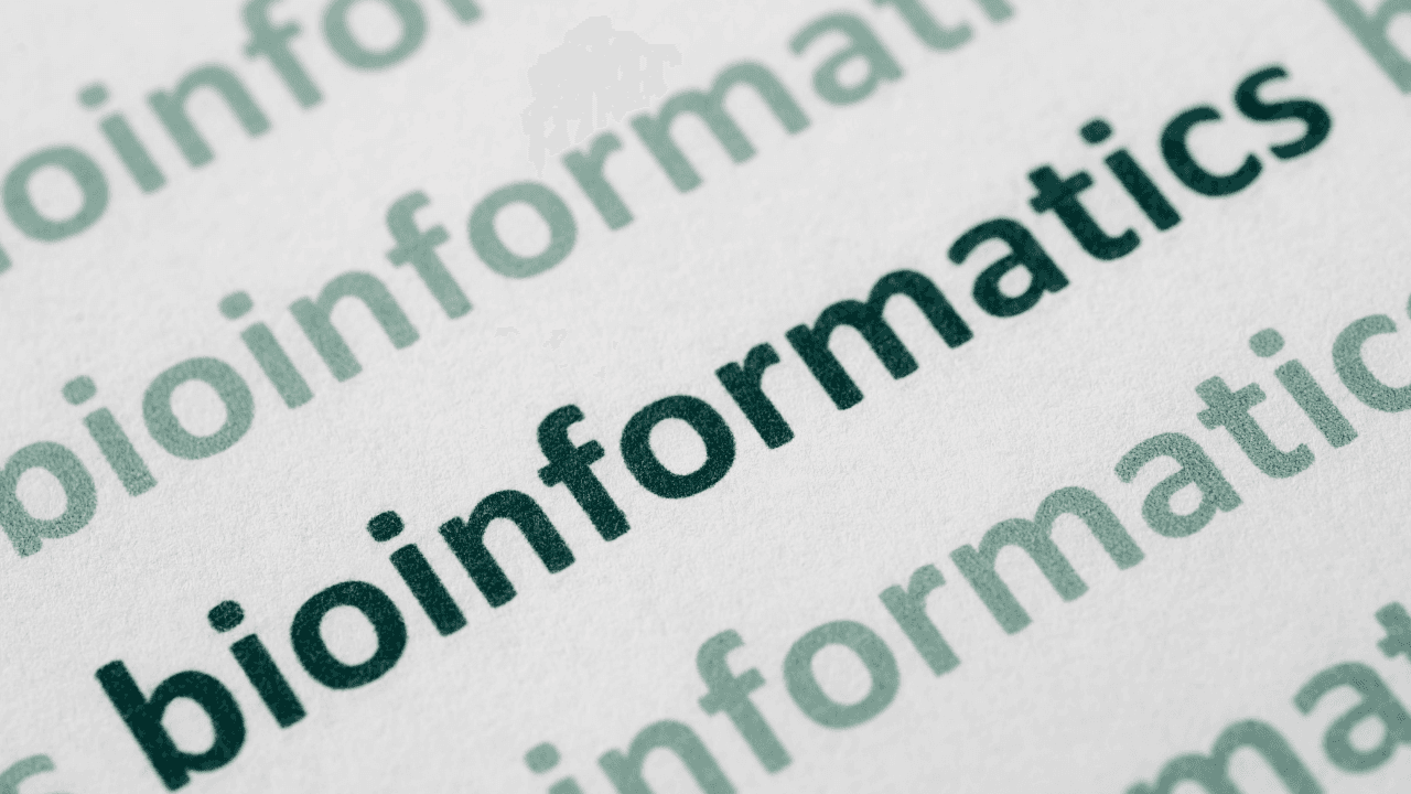 Bioinformatics career