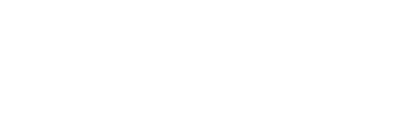 LSG Industrial + Magento