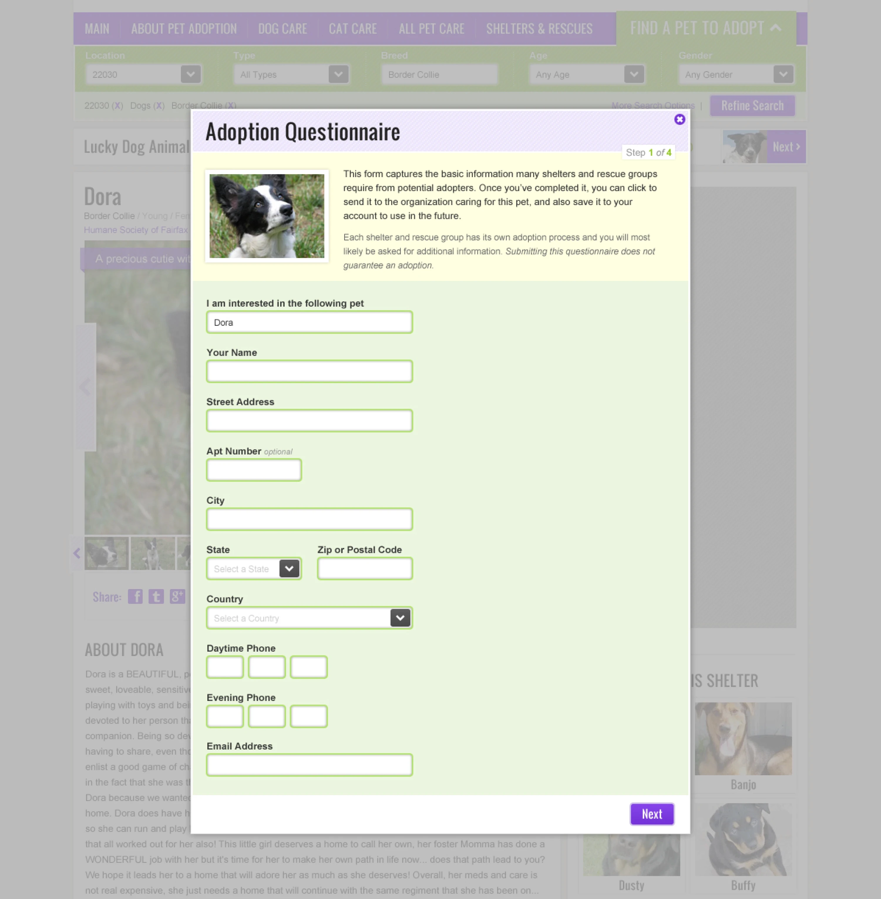 Webpage for an adoption questionnaire form with fields for personal details, next to a pet's profile.