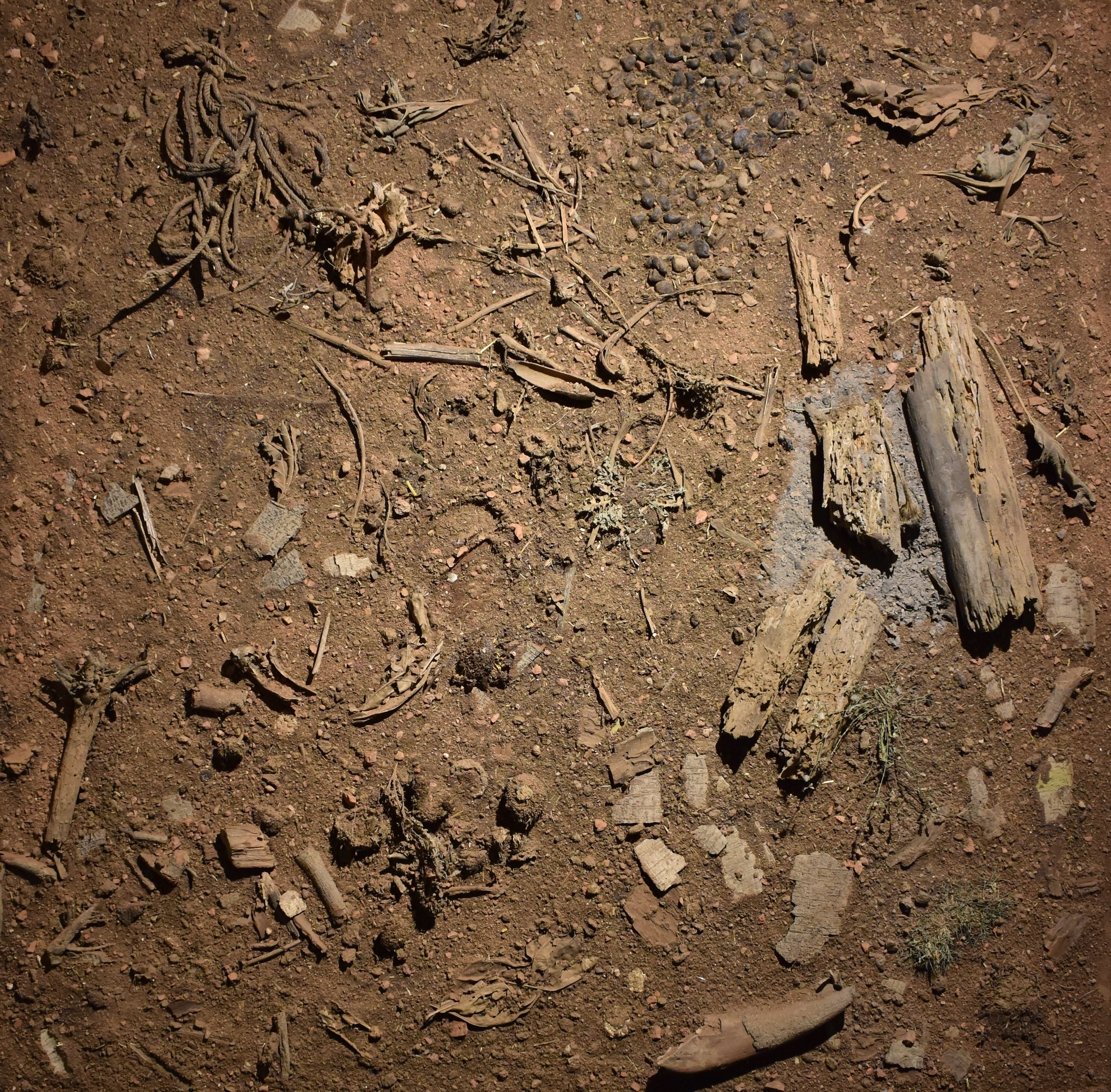 herd of sheep on road painting