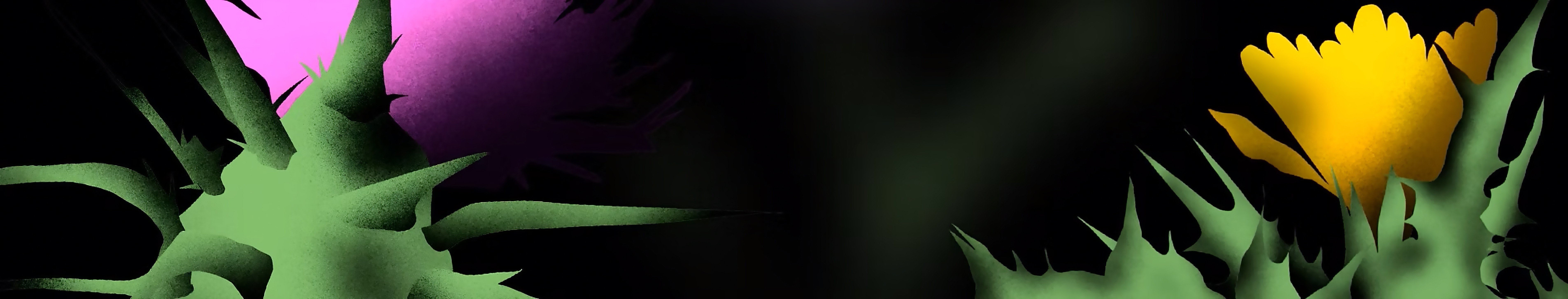 A fast black sports car races down the highway.