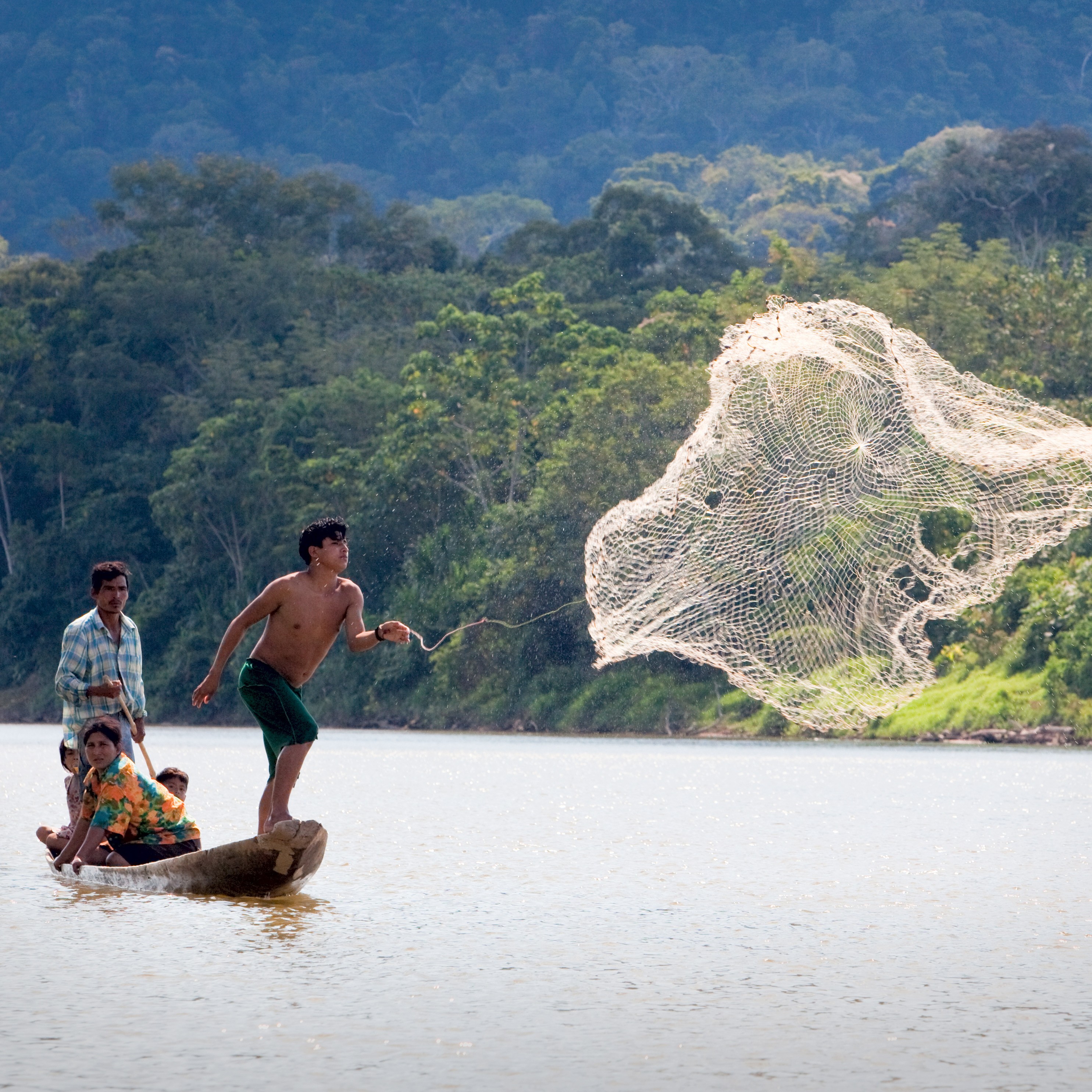 Person, holding a white rose behind his back with one arm on a light blue background