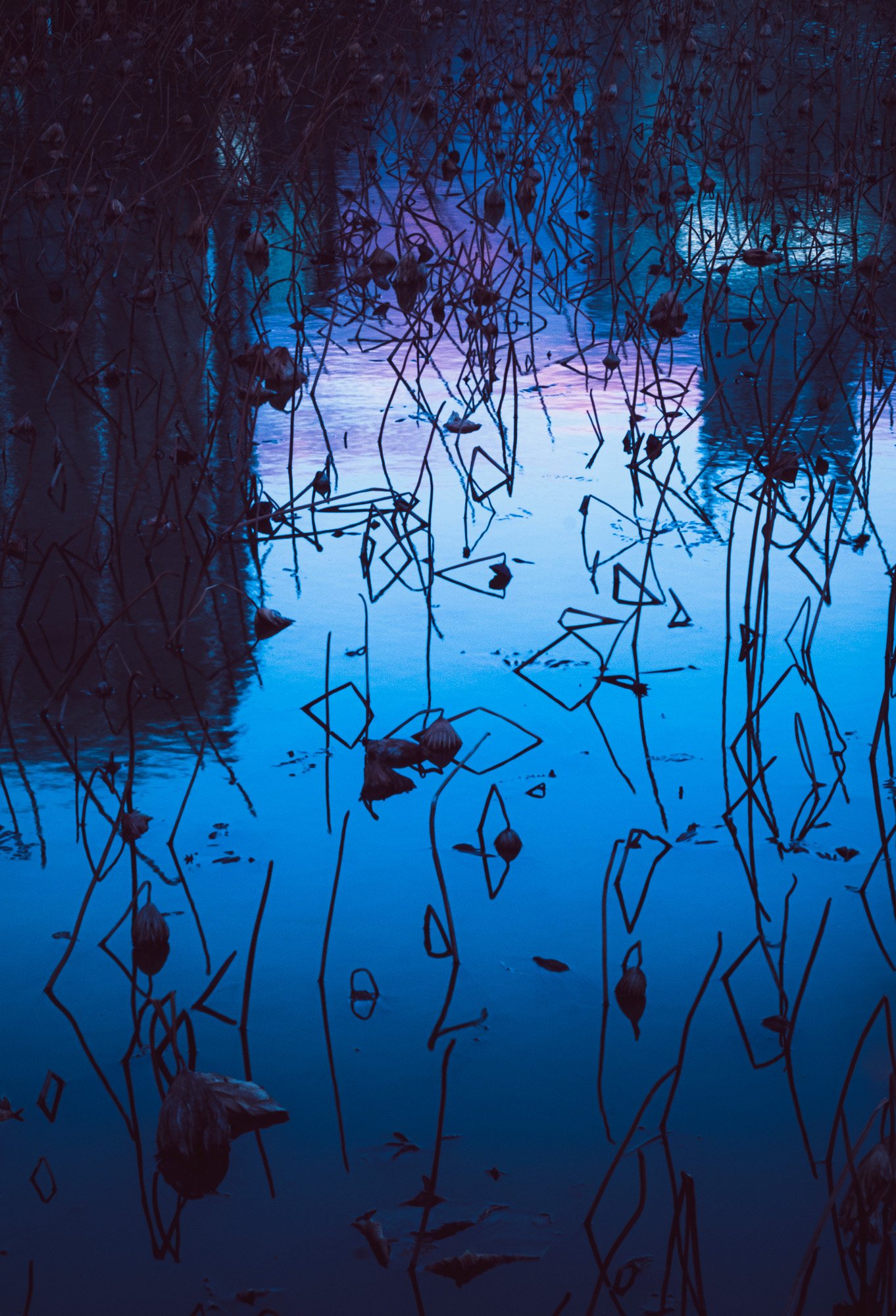 Taisei Matsumoto, 2022 exhibition work 009