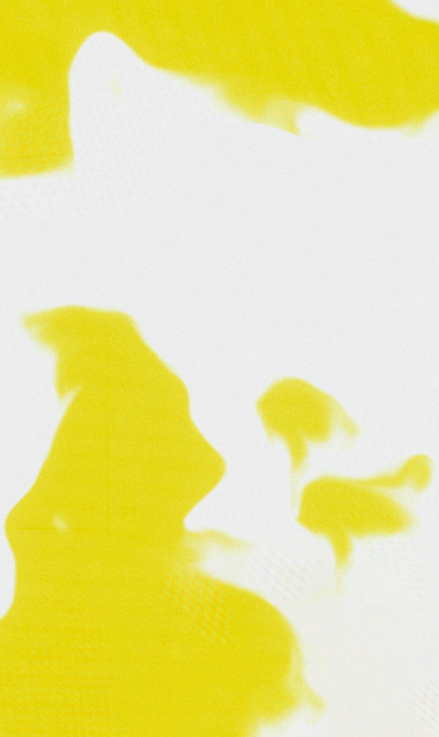 Second yellow and white photographic J.Lindeberg window panel