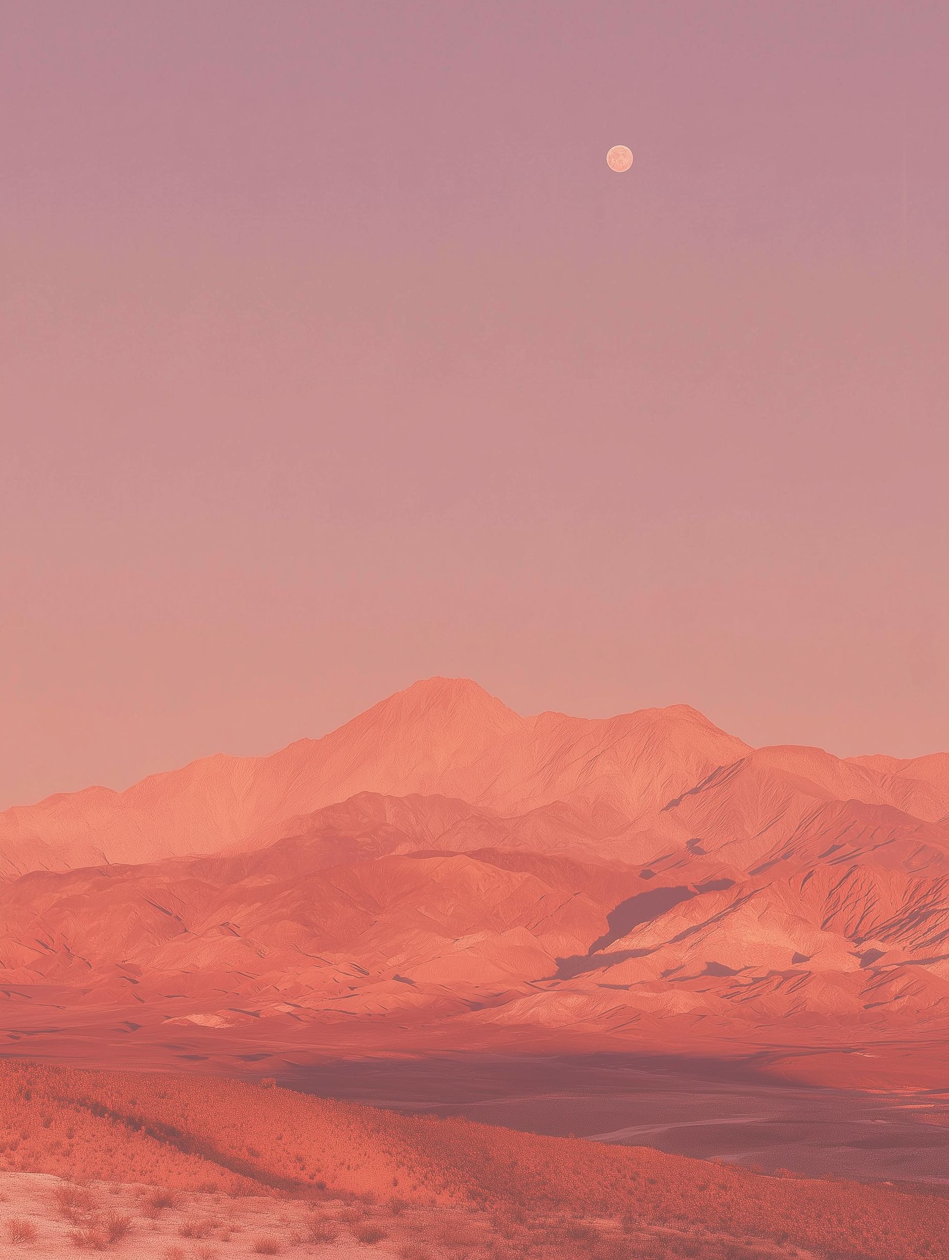 Desert landscape with pink sky and distant mountains