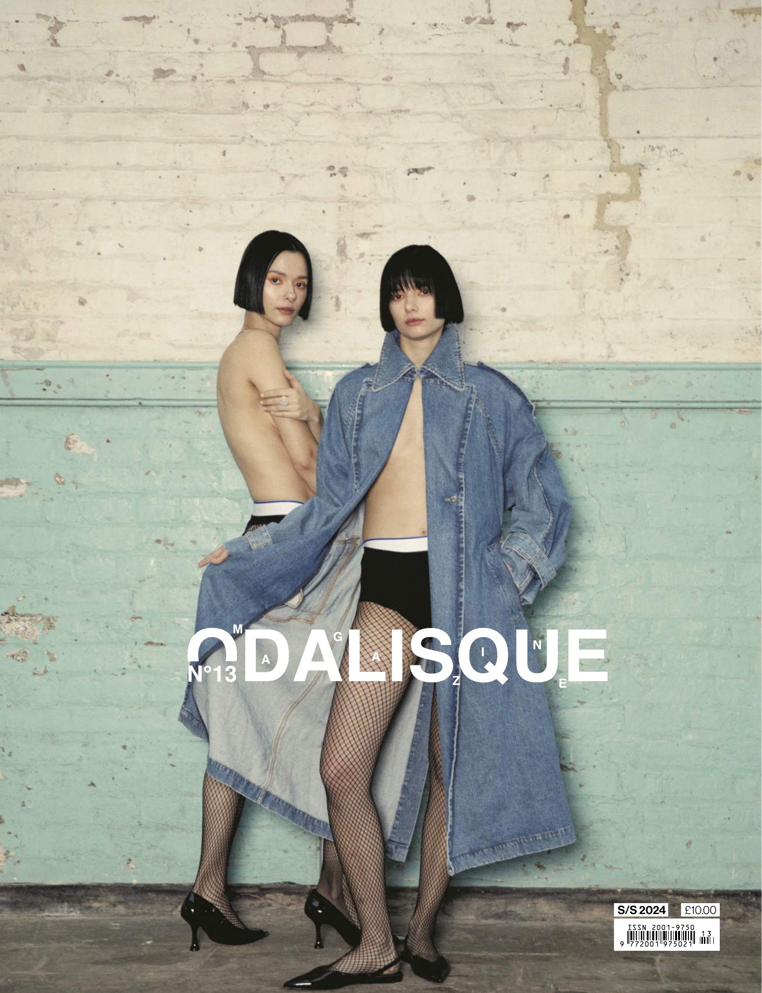 Issue XIII · Bloom Twins — original cover artwork.