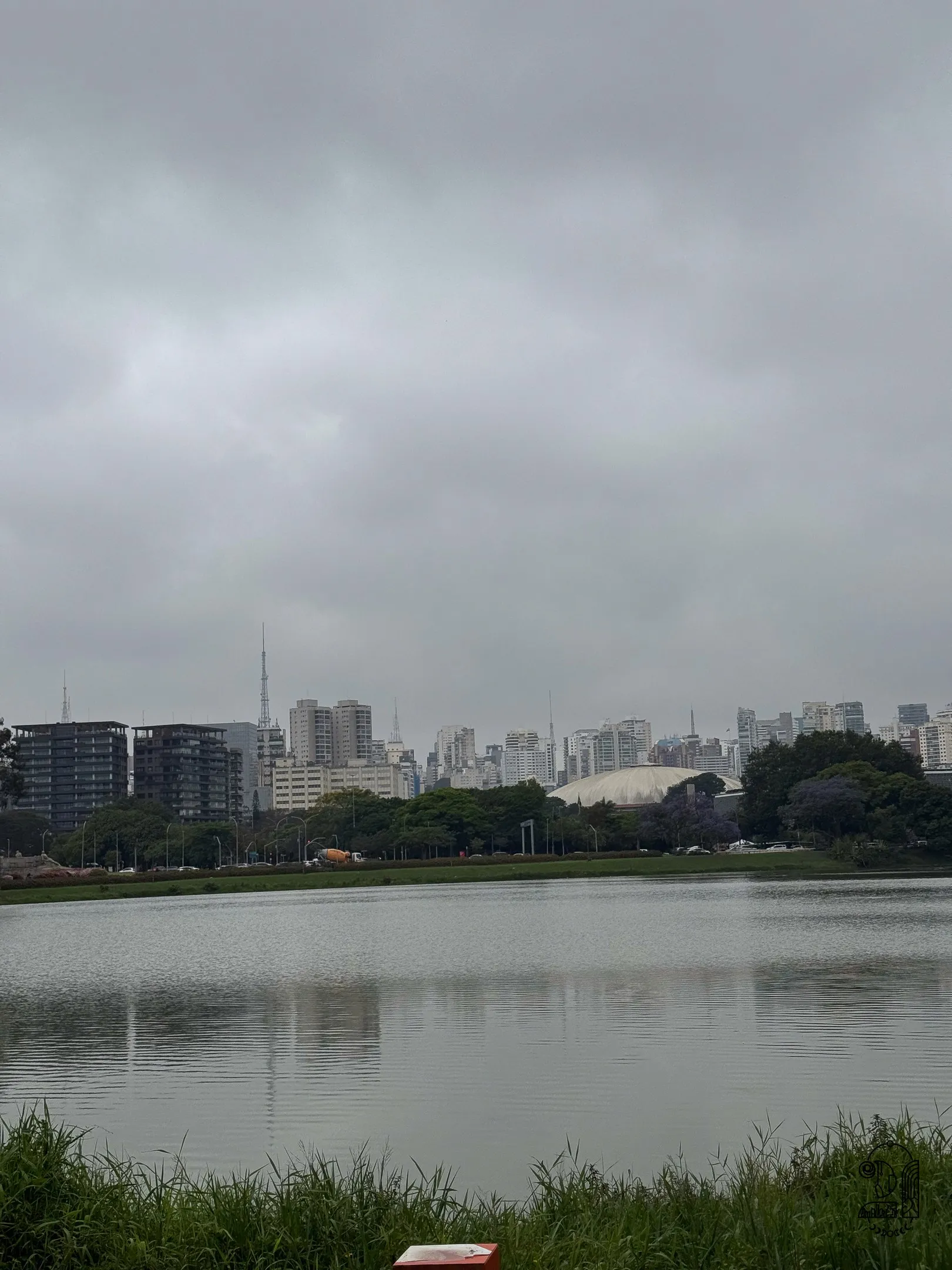 View of the lake in the heart of Sao Paulo with the city in the background