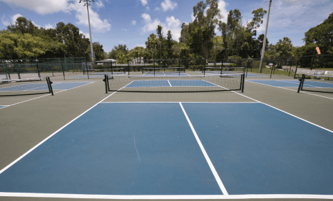 Ground-level view of blue pickleball courts with nets, palm trees and fencing in the background