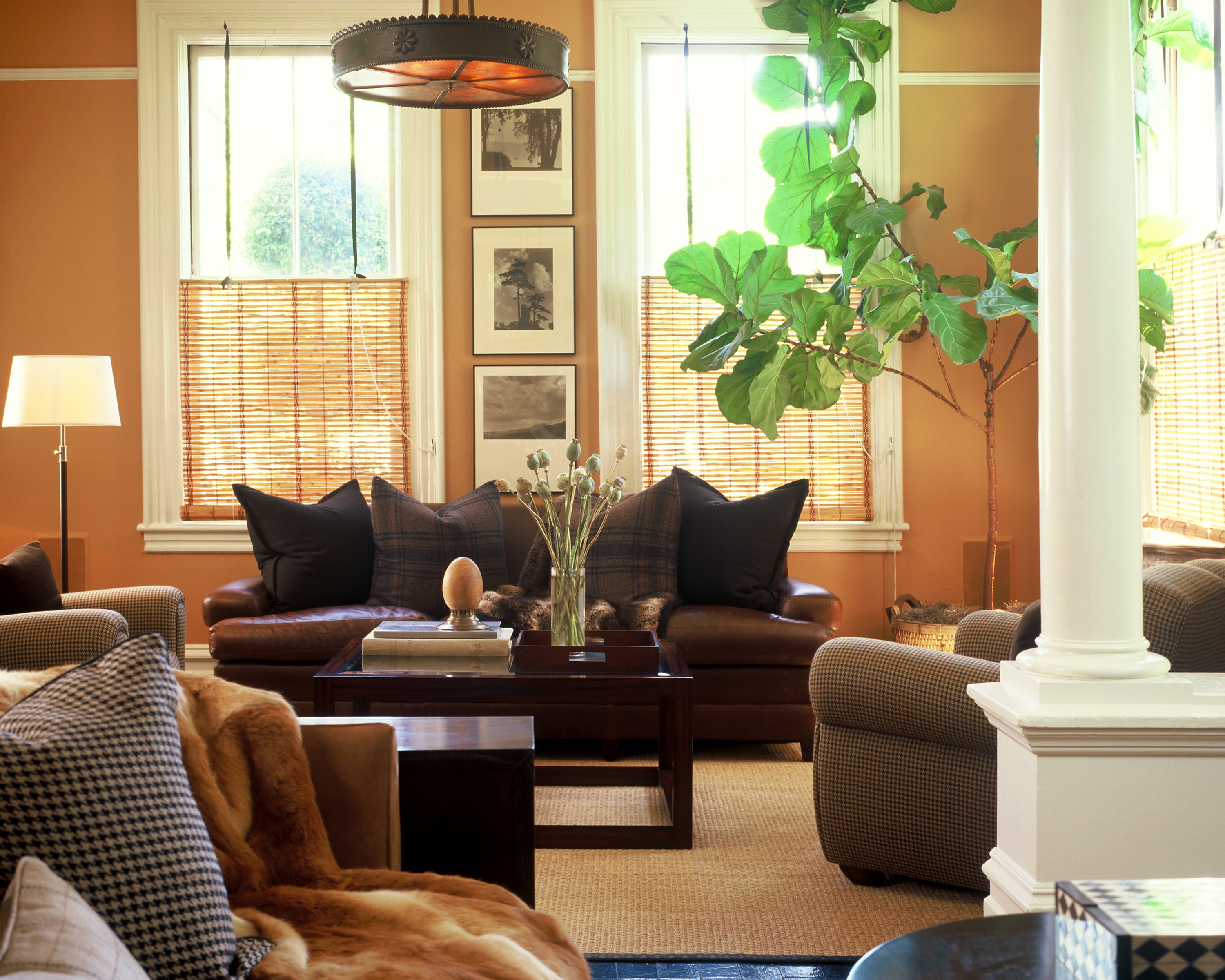 Transformation Photo