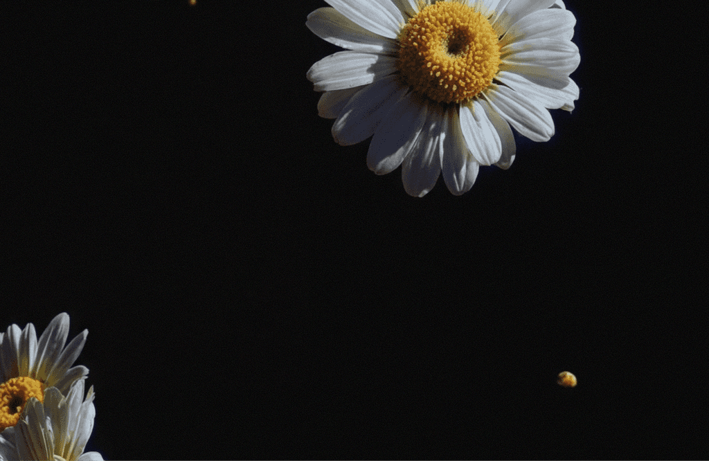 Raha, mis liigub sinu rütmis.