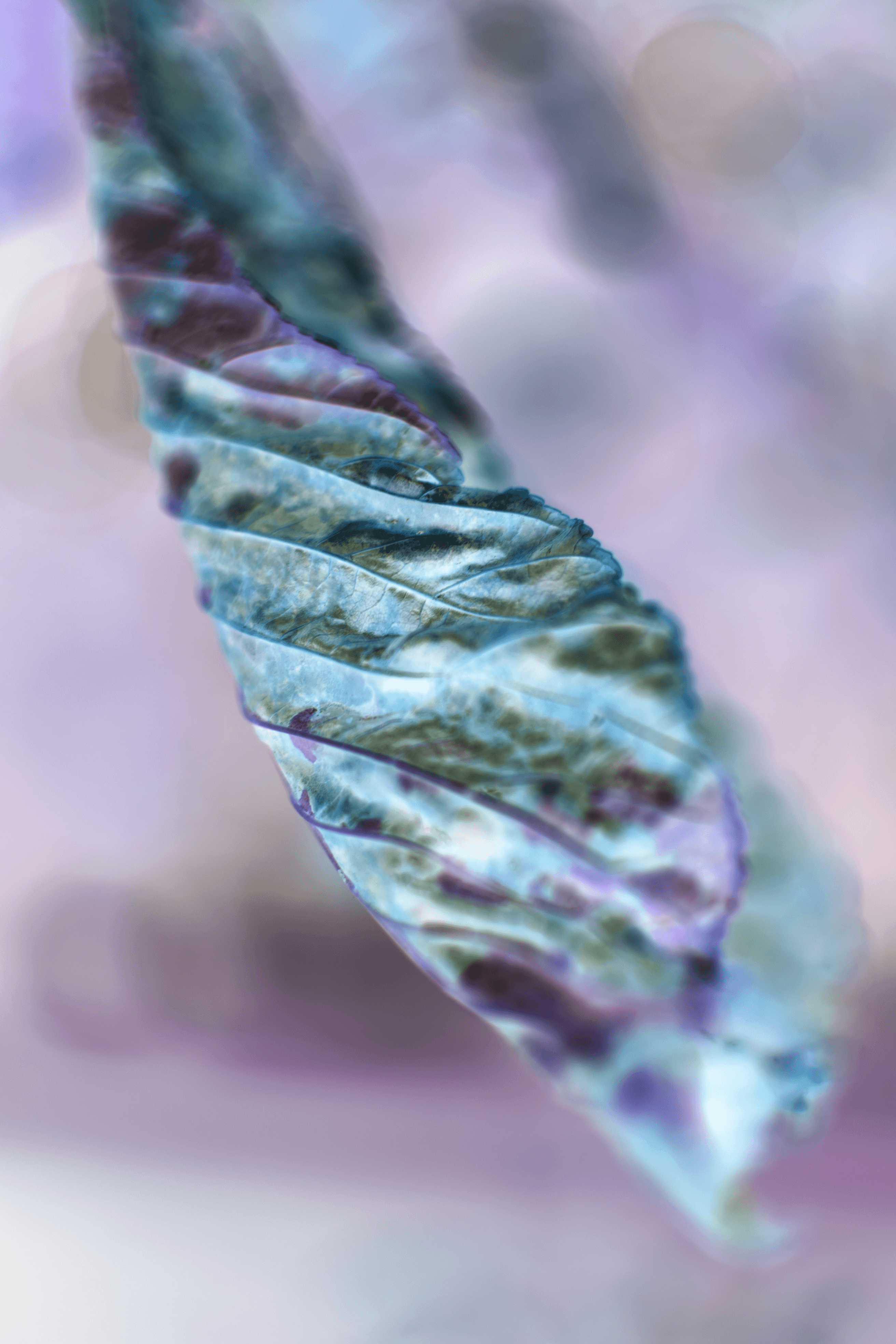 Bold editorial fashion portrait of model in houndstooth blazer with red tie and green shirt against bright turquoise background - Serif Creative Studio luxury fashion photography