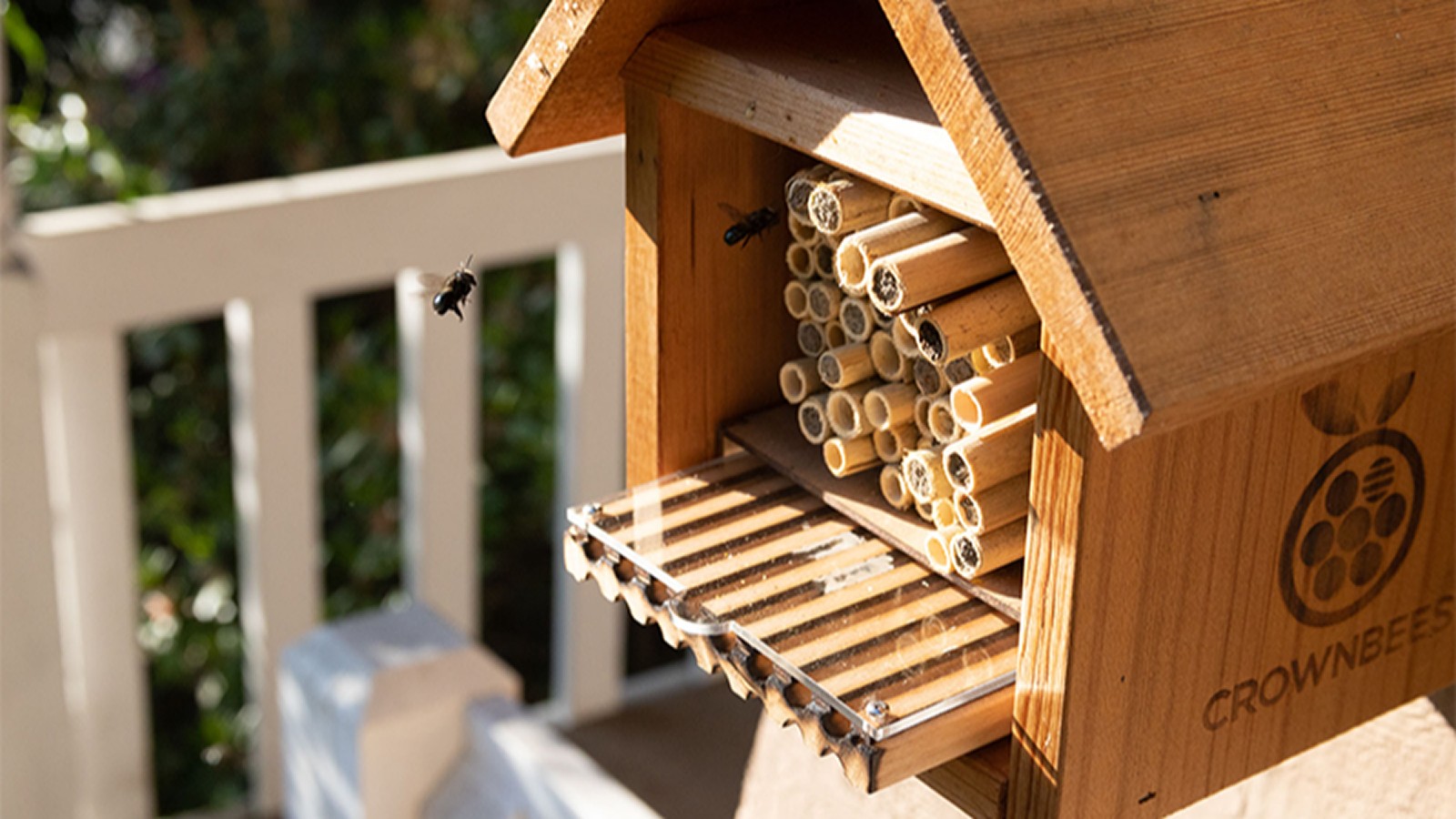 How the Business Runs Image