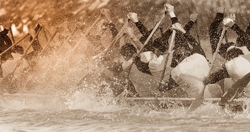 A Importância de Uma Cultura de Combate`a Fraude