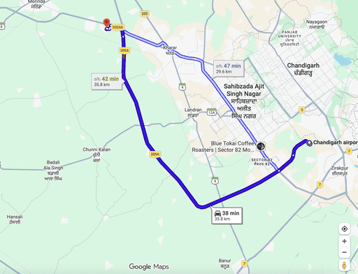 The interior of the Botanical cafe in Prague