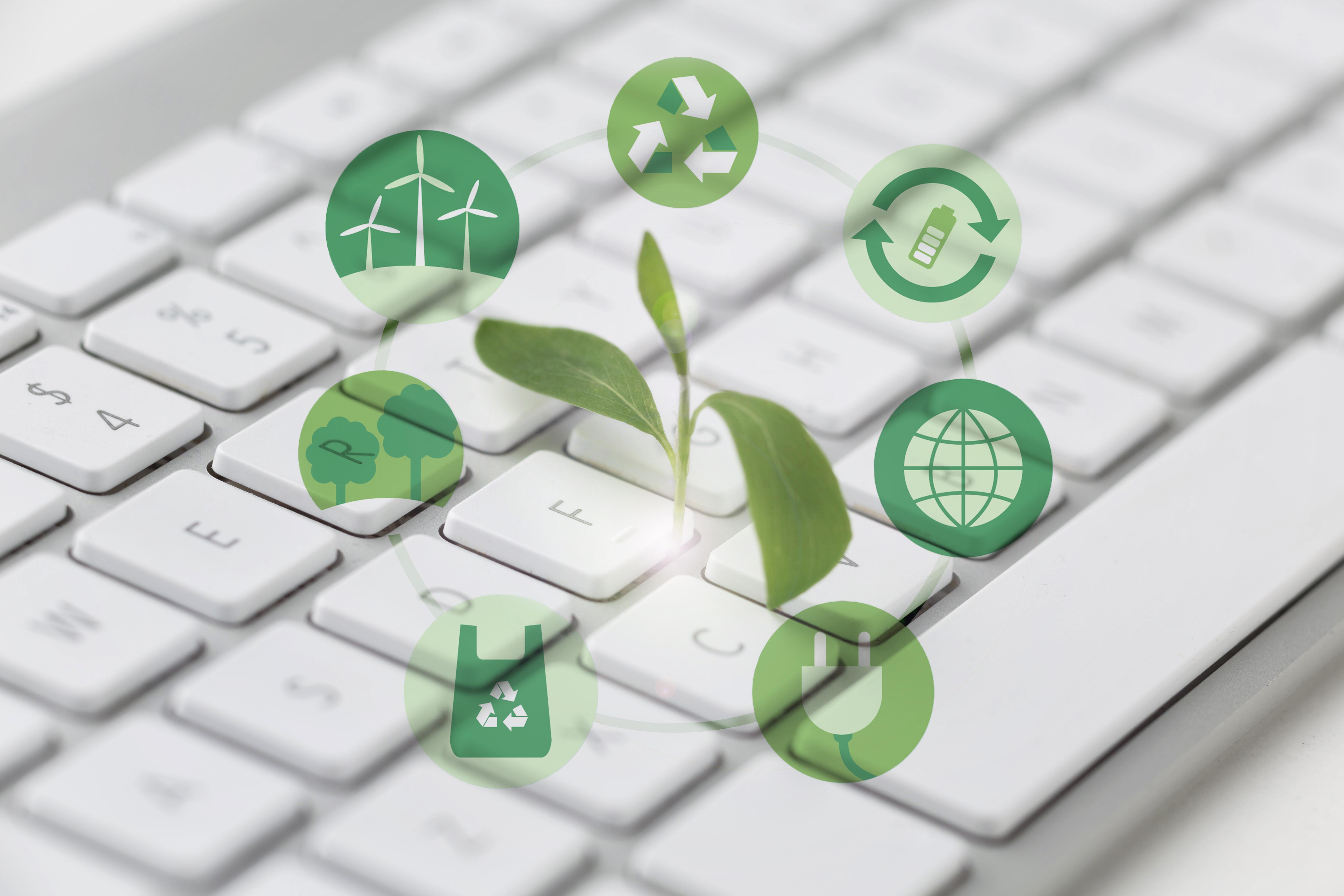 Plante poussant entre les touches d'un clavier, illustrant le développement durable et l'écologie numérique