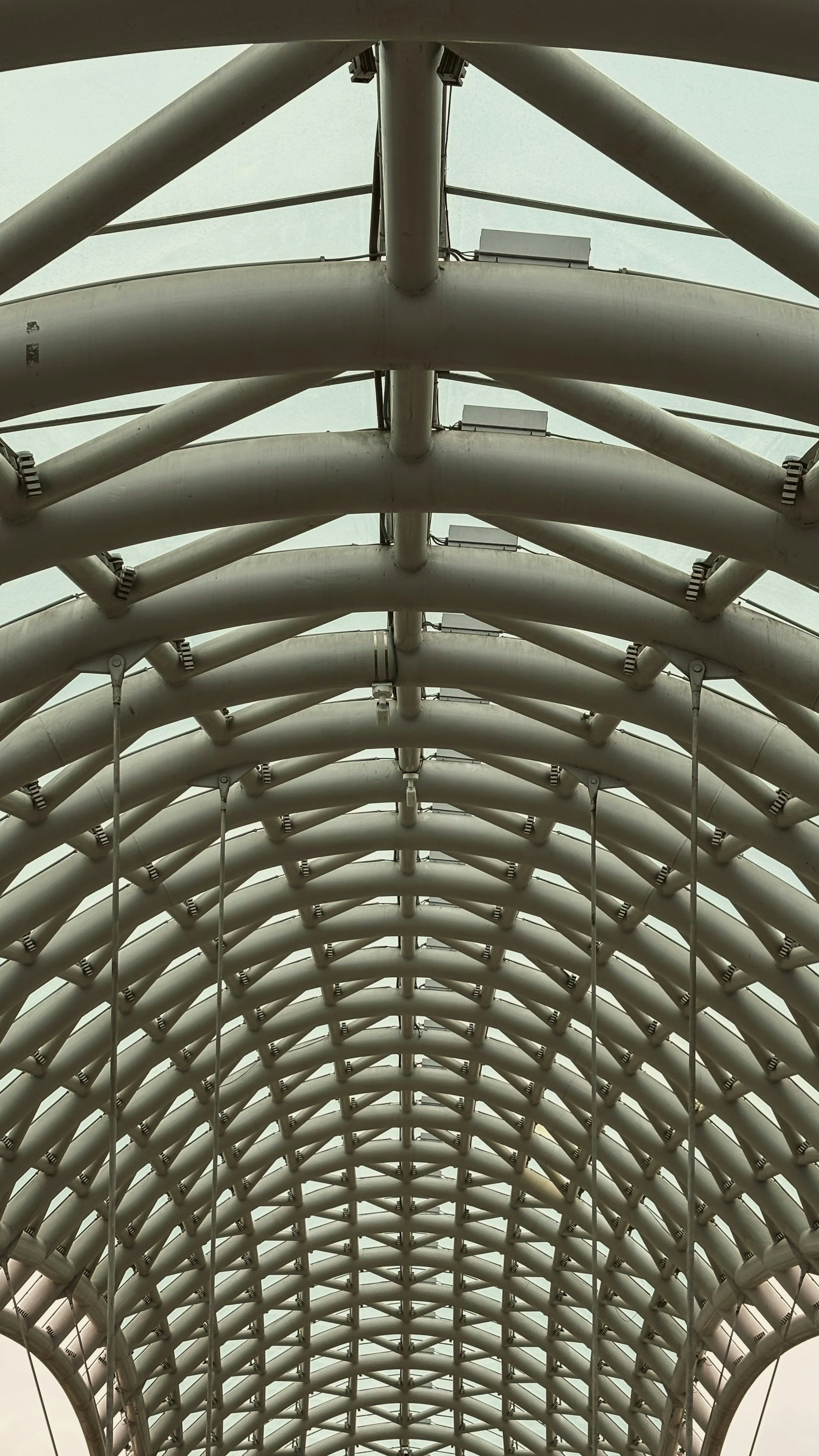 Vintage Car Under Palm Trees