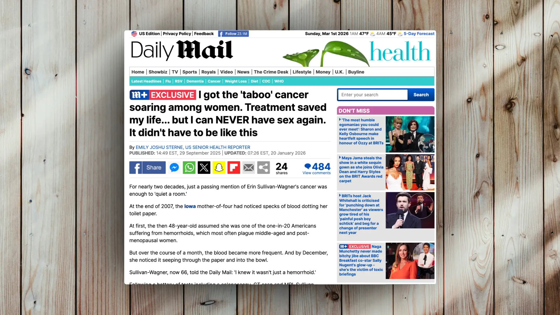 website template image