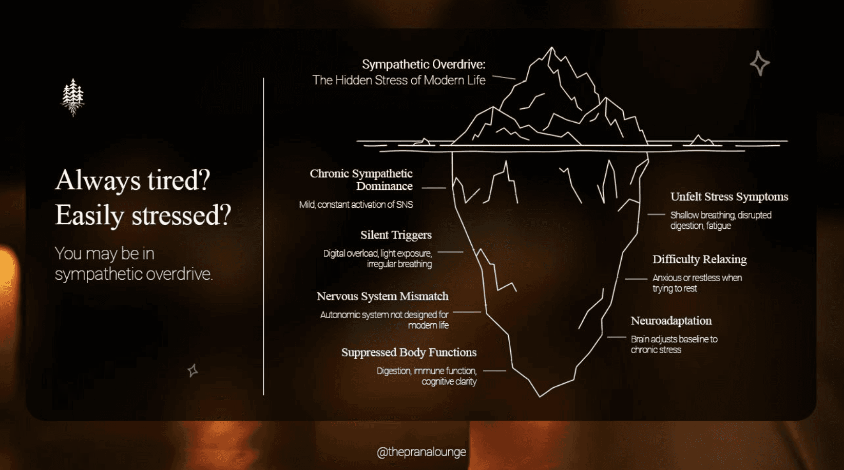 Alwyas tired? Easily stressed?