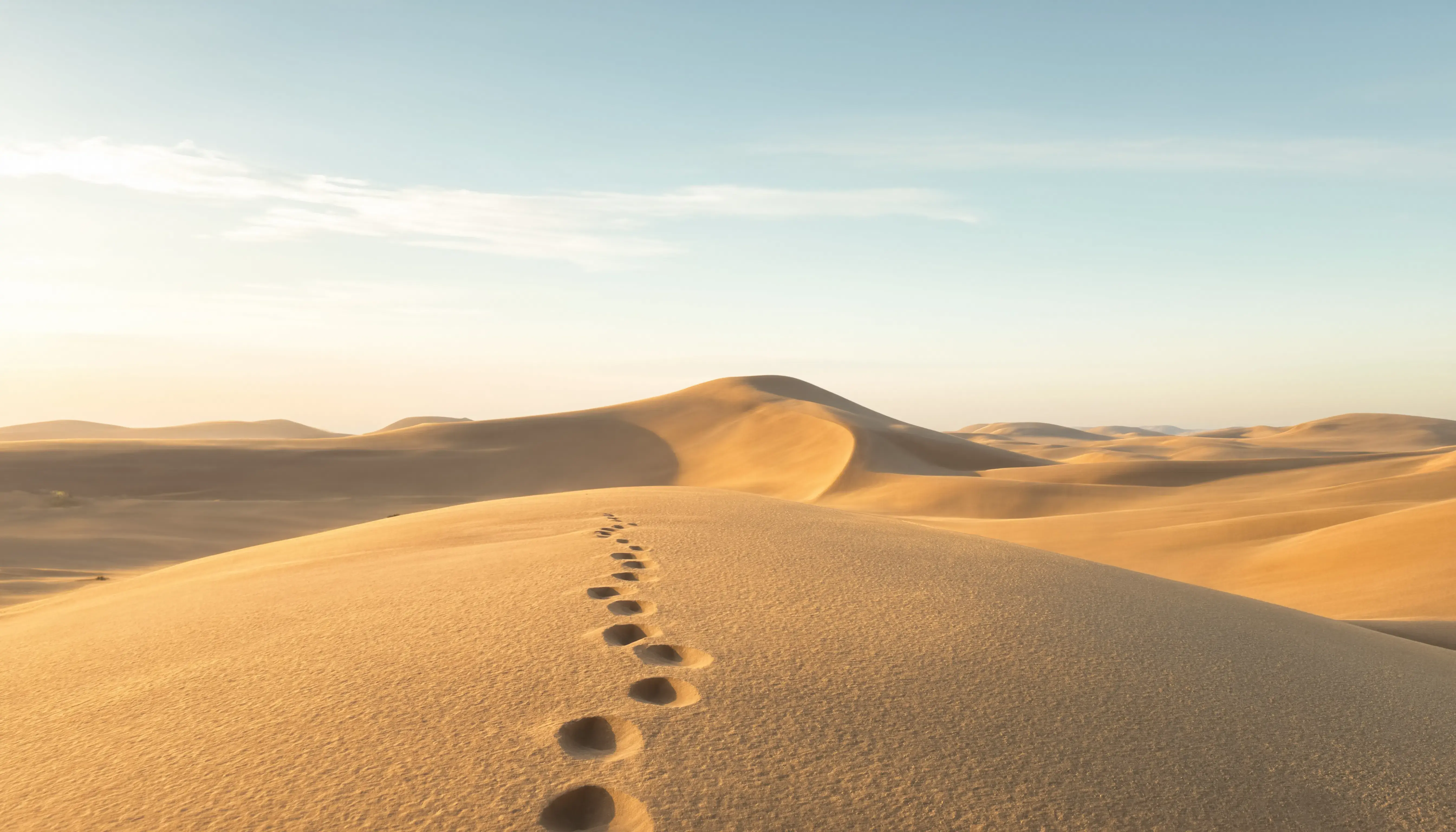 Solitude and desert expanse