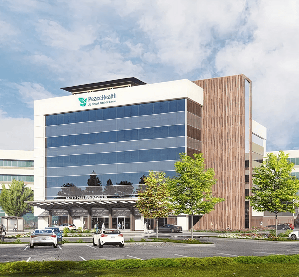 Modern landscaped garden showcasing professional outdoor design.