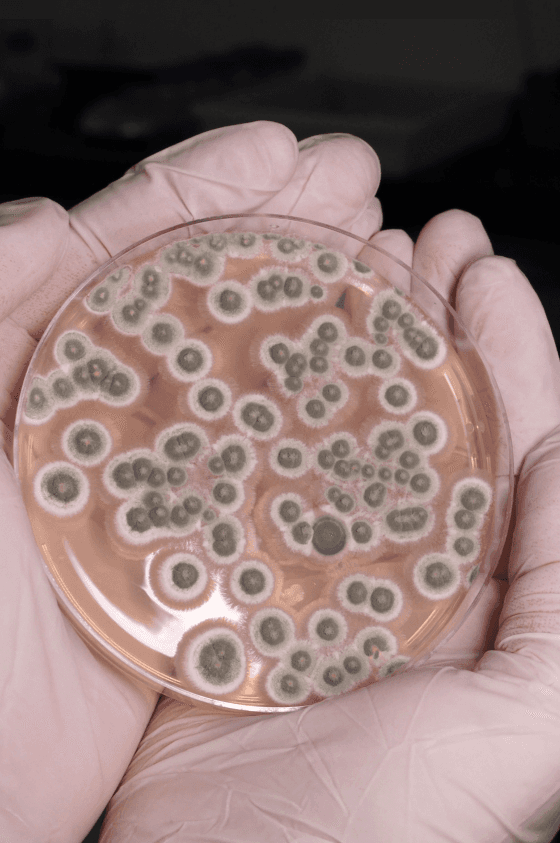 Client Photo Placeholder