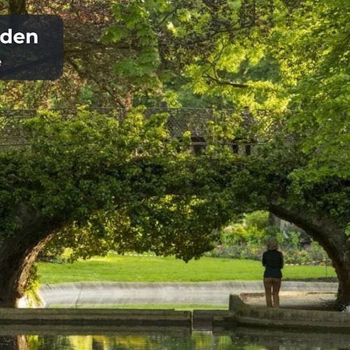 Toulouse: Self-Guided Walking Tour tickets in Carcassonne