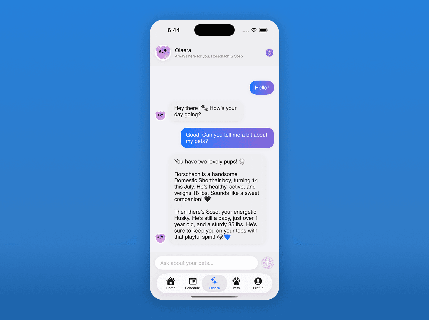 Abstract image used as a placeholder for this design project