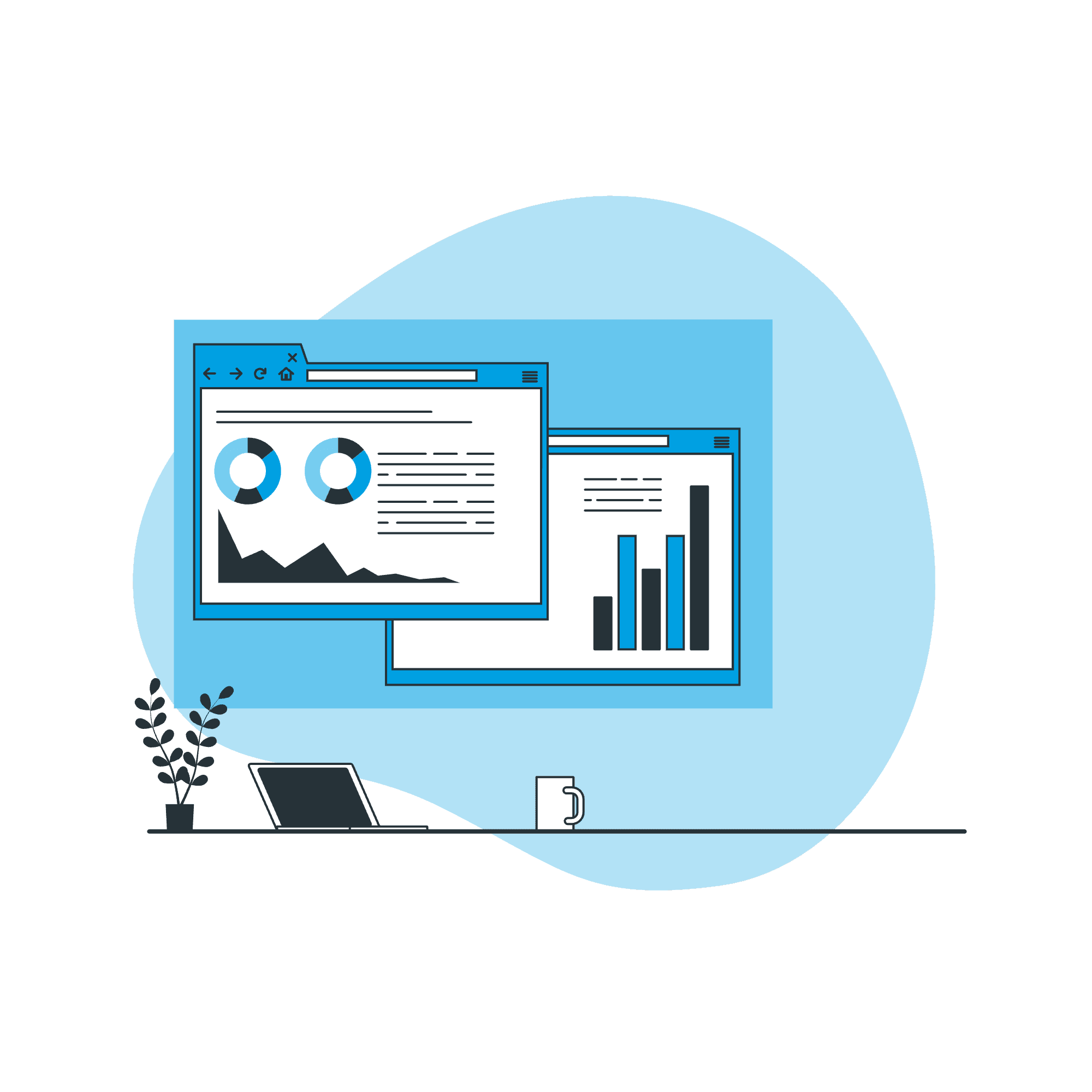 Custom Reporting Frameworks