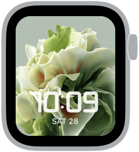 orchard static Apple Watch face preview 1 featuring floral, summer, and spring.