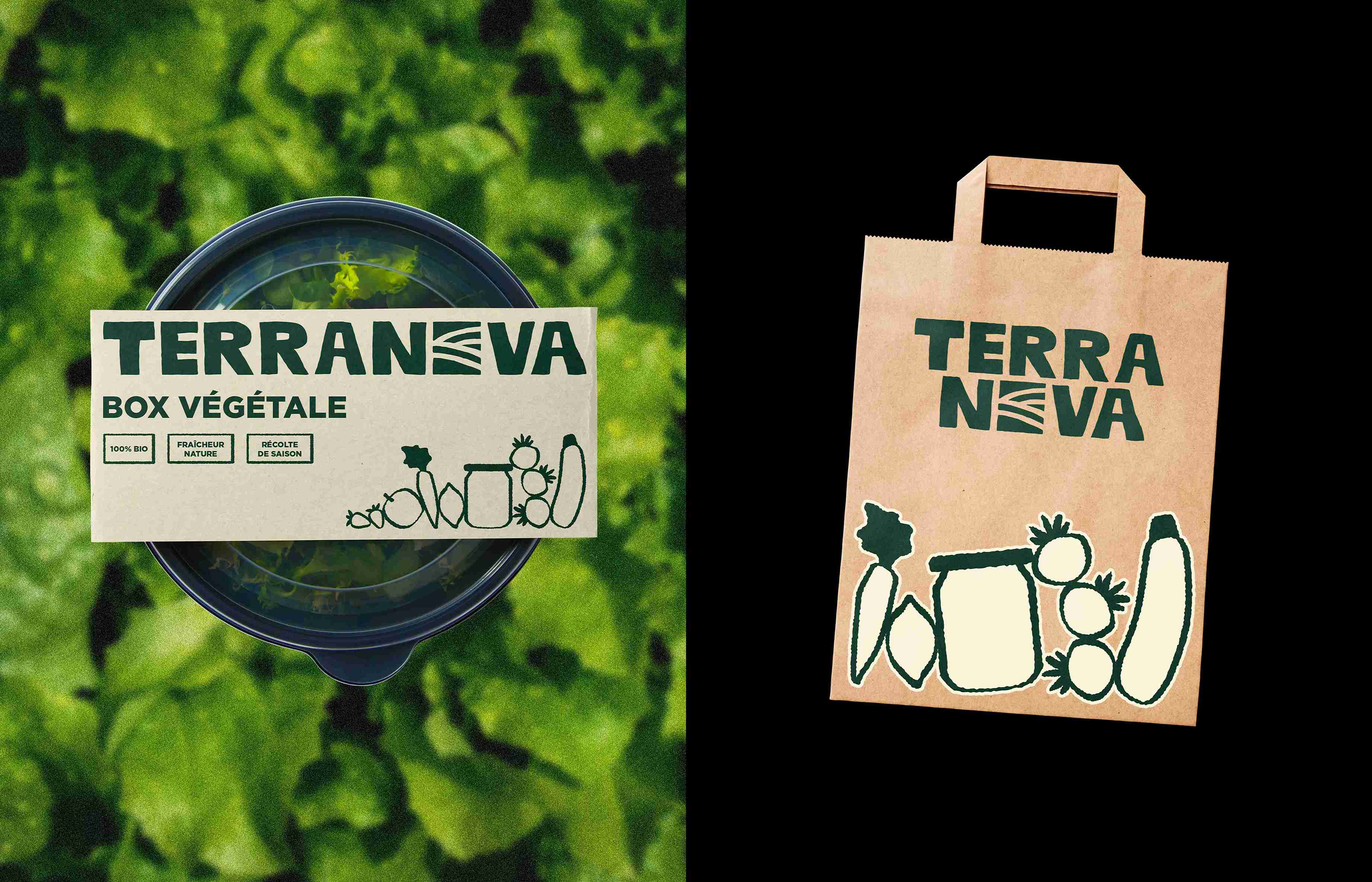 terranova-visuel-box-et-paper-bag