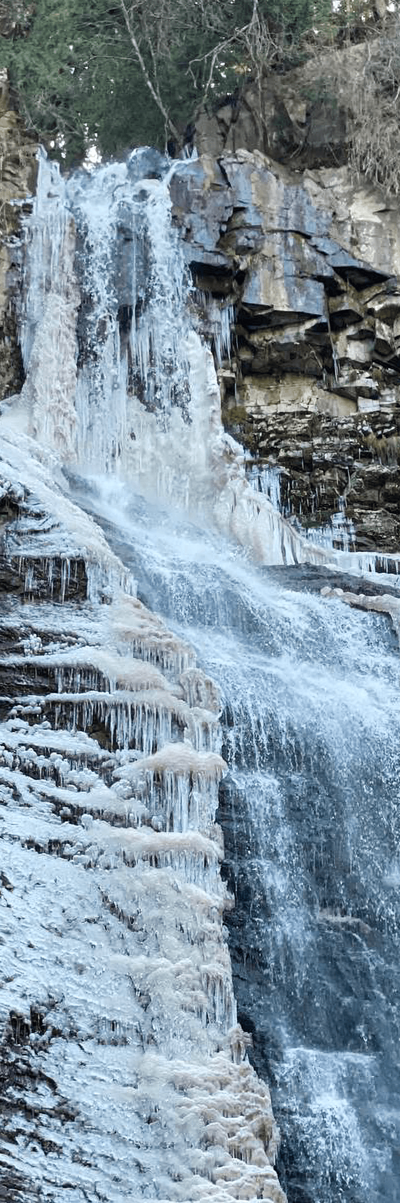 Kyrgyzstan Nature Photo