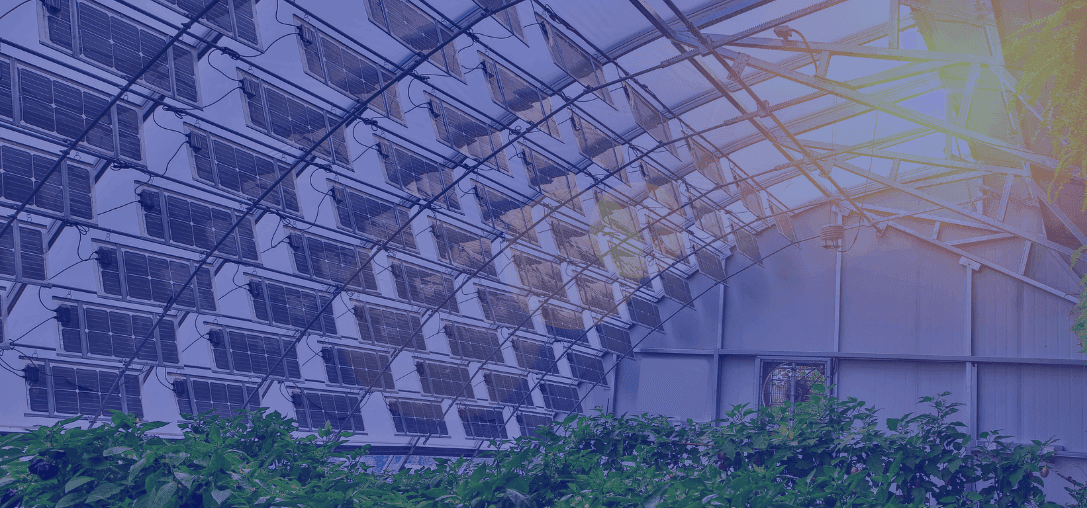 creer une ferme solaire