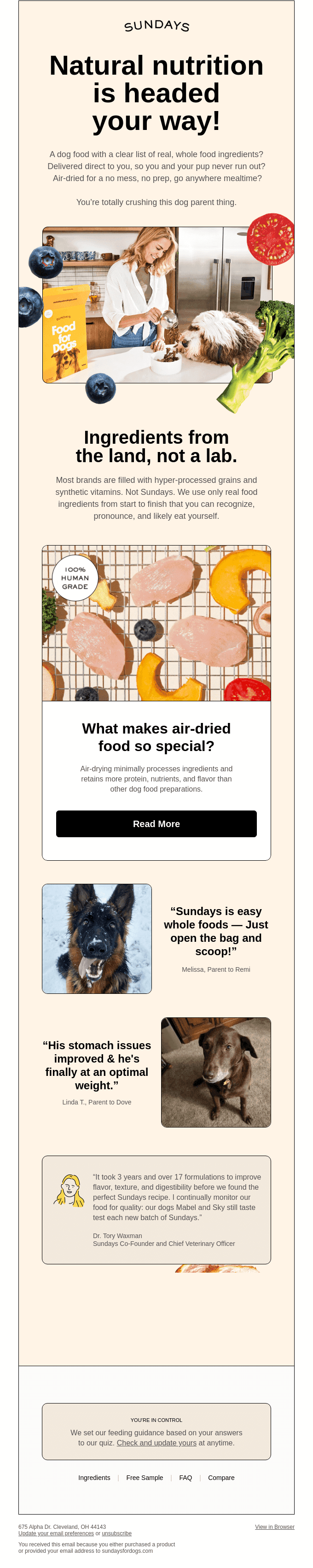 SUNDAYS email introducing natural, air-dried dog food with testimonials and product benefits