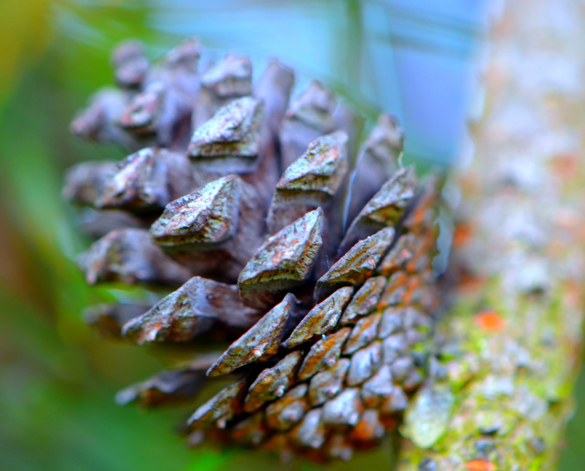 blue sky and white clouds over the sea