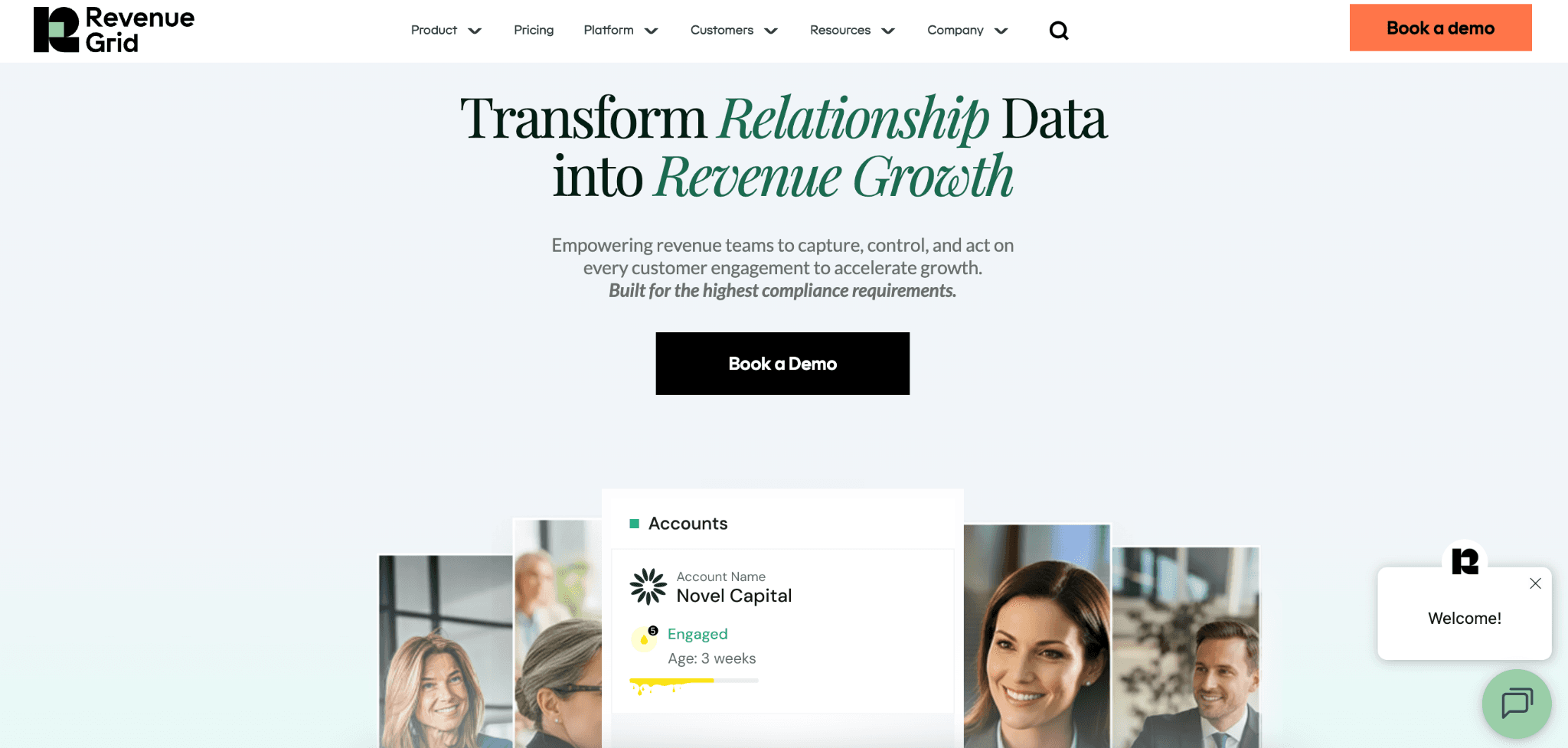 revenue grid homepage