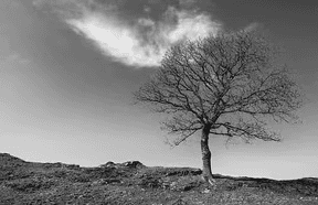 The Technical Debt Quadrant