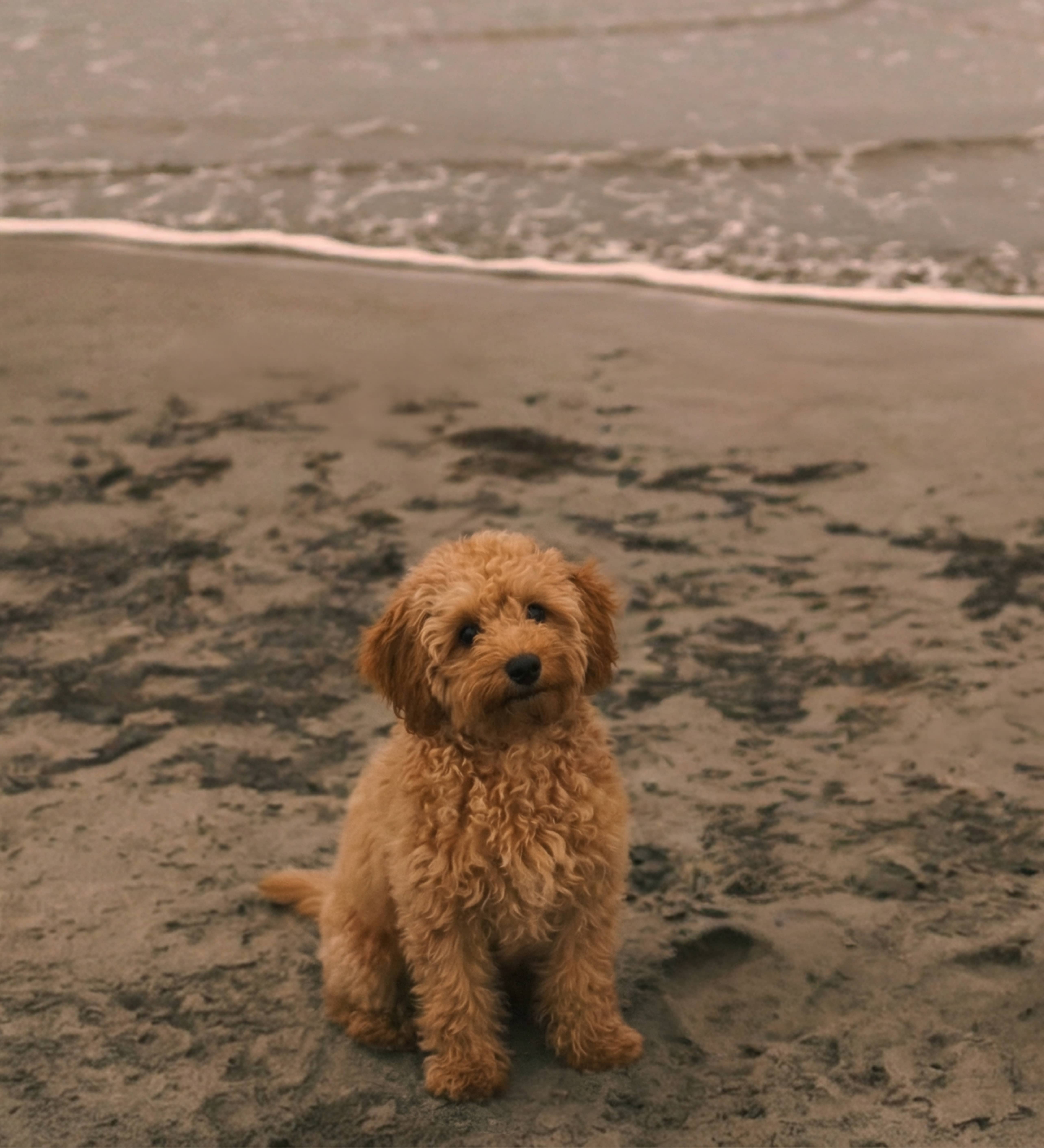 Portrait von Maya, Feel Good Managerin bei Pure