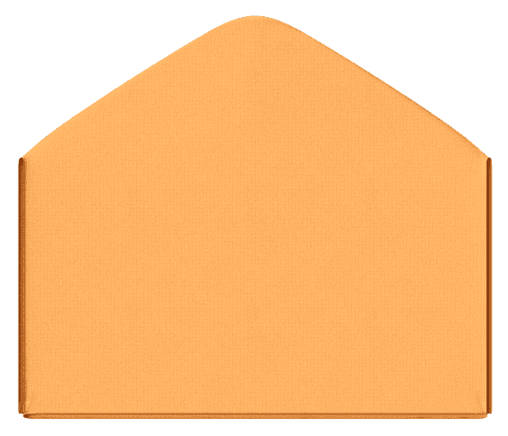 Envelope back